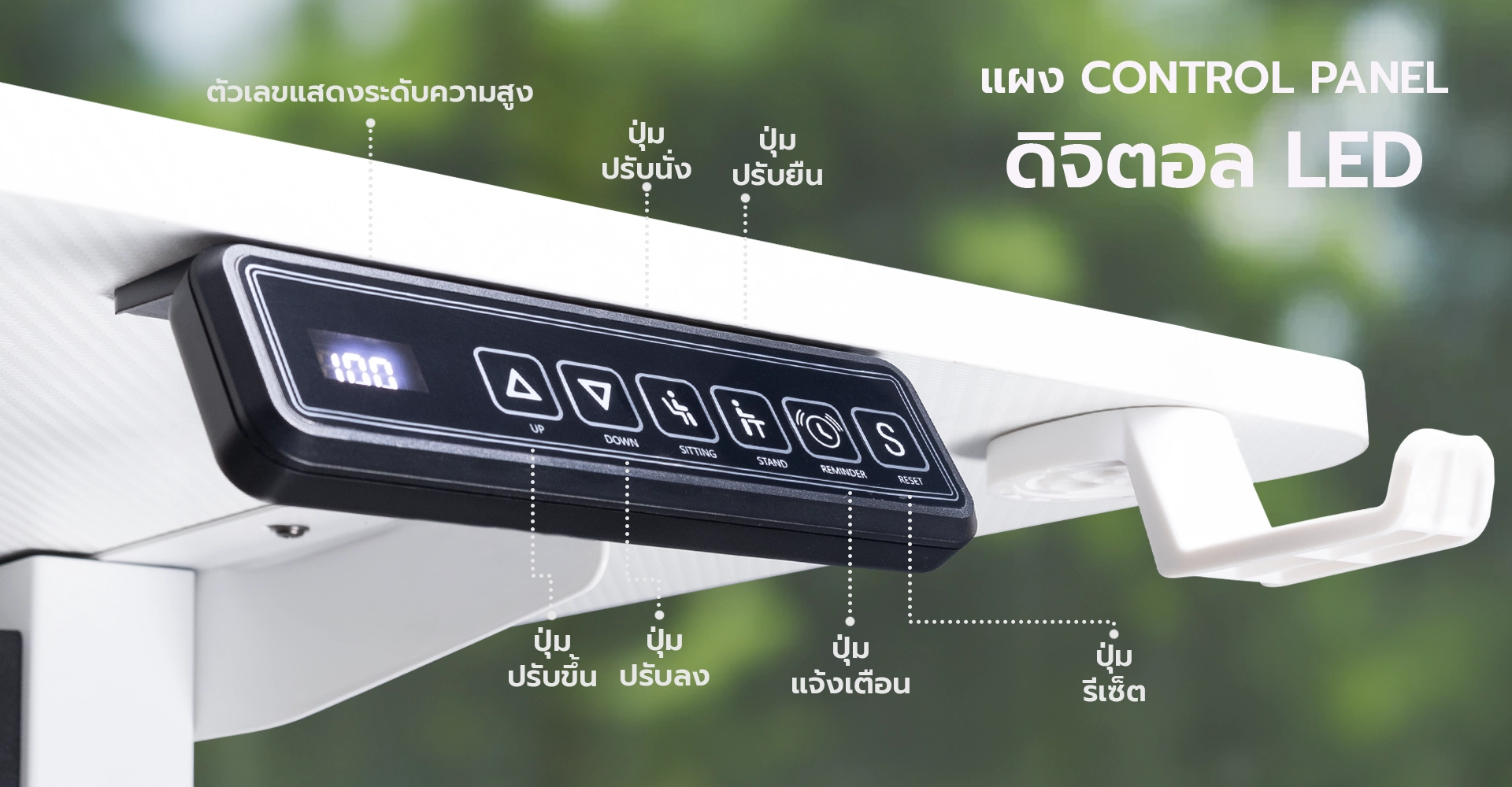 โต๊ะปรับระดับไฟฟ้า NRT01